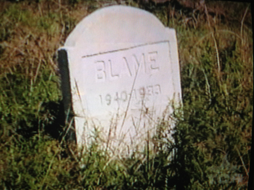 Garden of Thorns - Blame