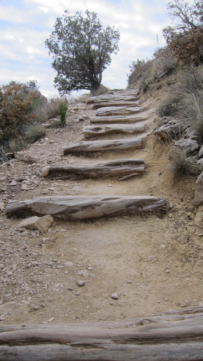 Stair Steps to GP