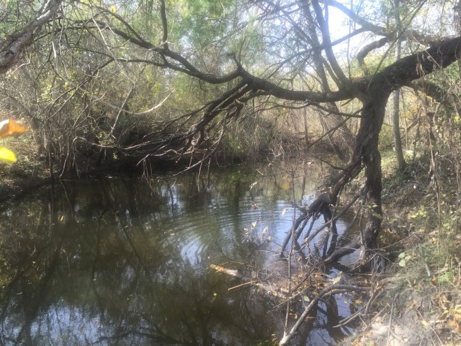 Woman Hollering Creek