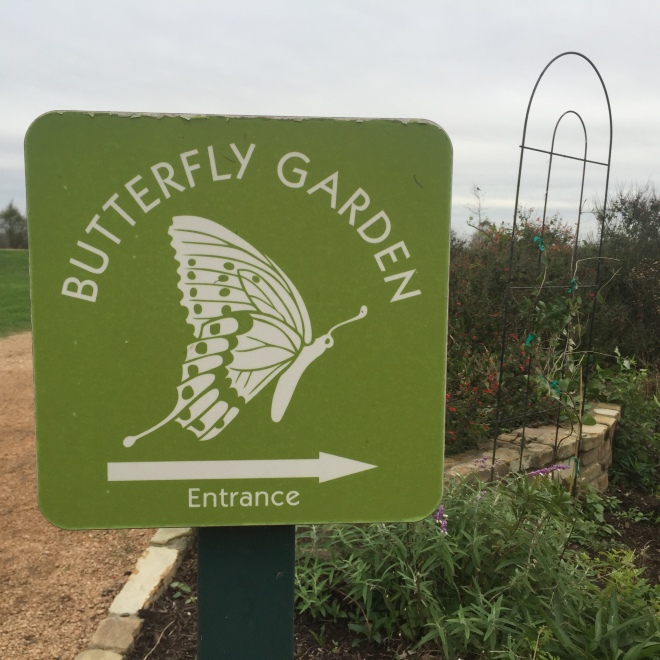 Seabourne Butterfly Garden