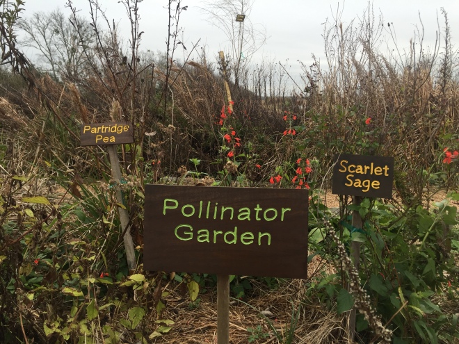 Seabourne Pollinator Sign