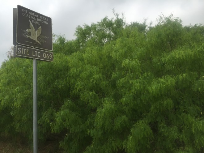 Bentsen Birding Sign