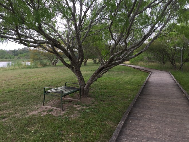 Estero Llano Boardwalk