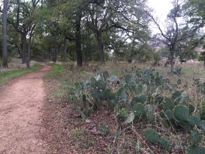 Prickly Pear Path
