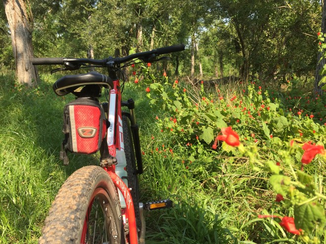 Bike and Turk's Cap