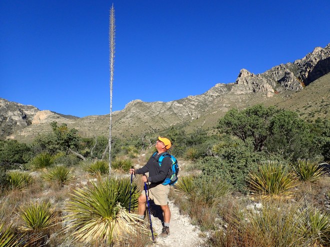 Omar Looking at Sotol