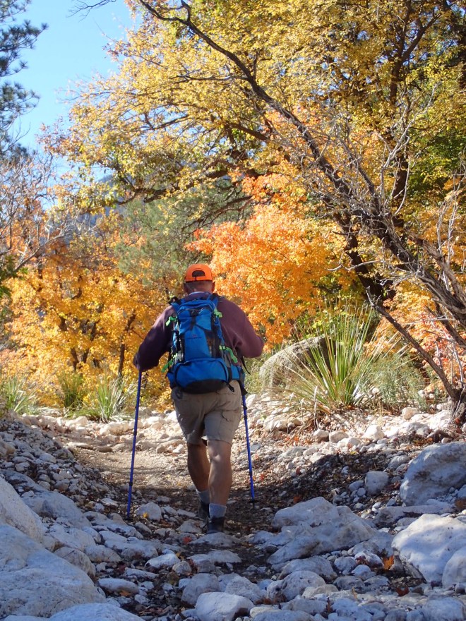 Omar Hike McKittrick