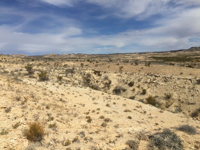 Chihuahuan Desert