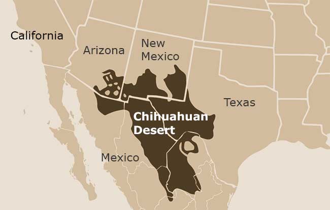 chihuahuan-desert-map